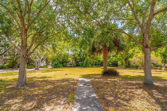 303 S Lakeview Ave, Winter Garden, FL 34787 - photo 5