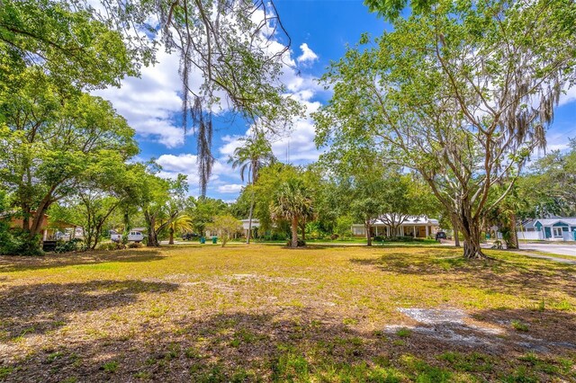 303 S Lakeview Ave, Winter Garden, FL 34787 - photo 6