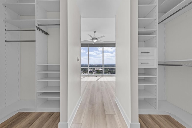 spacious closet featuring a ceiling fan and light wood finished floors