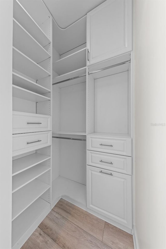spacious closet featuring light wood-type flooring