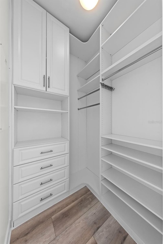 walk in closet featuring wood finished floors