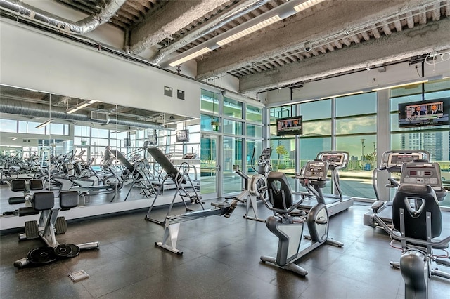 exercise room featuring a wall of windows