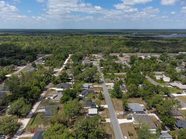 714 Palmetto Ave, Orange City, FL 32763 - photo 6