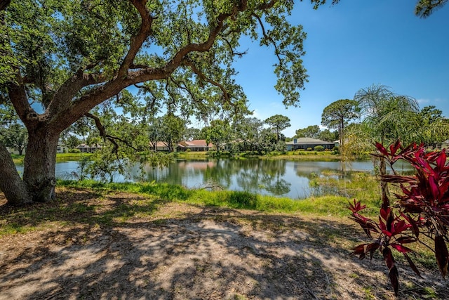 8202 Shadow Pine Way, Sarasota, FL 34238 - water view