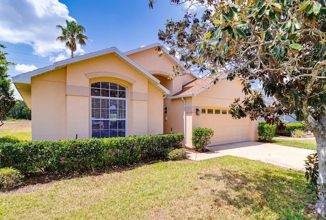 ranch-style house featuring concrete driveway, an attached garage, a front lawn, and stucco siding