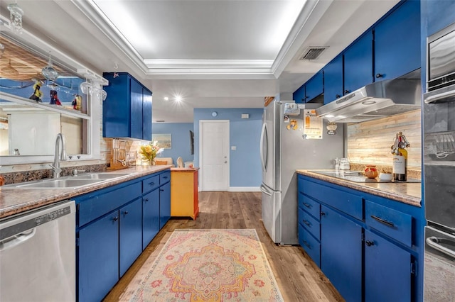 kitchen with blue cabinetry, appliances with stainless steel finishes, and a sink
