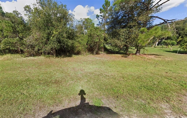 204 Palm Ave, Indian Lake Estates, FL 33855 - photo 3