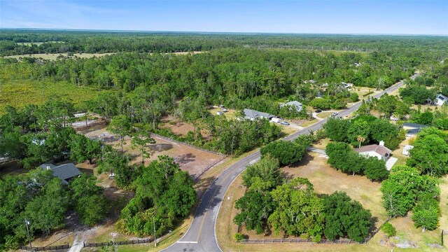 21343 Reindeer Rd, Christmas, FL 32709 - photo 37