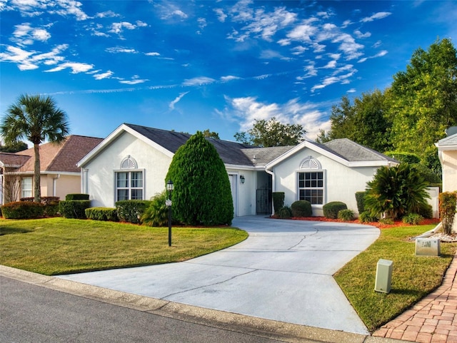 ranch-style house with curved driveway, a front lawn, an attached garage, and stucco siding