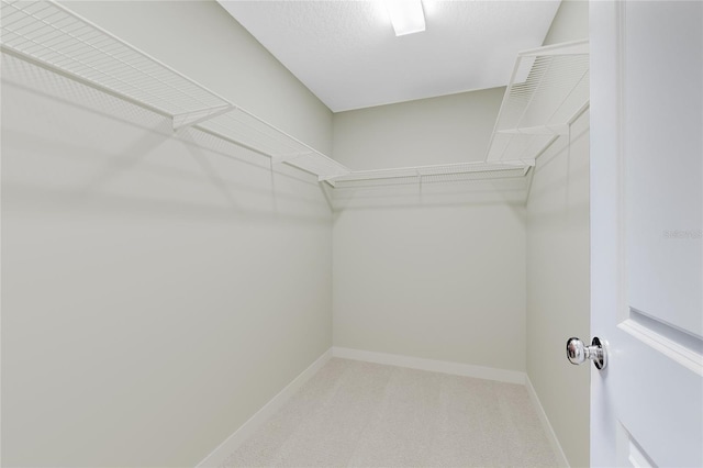 walk in closet with light carpet
