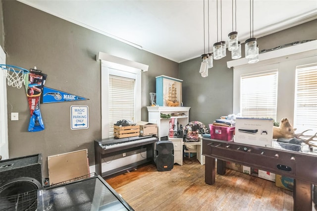 419 Palm Ave, Eustis, FL 32726 - game room featuring wood-type flooring and ornamental molding