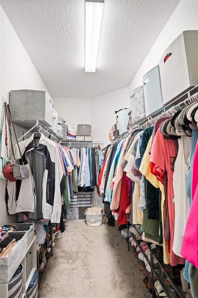 spacious closet featuring carpet