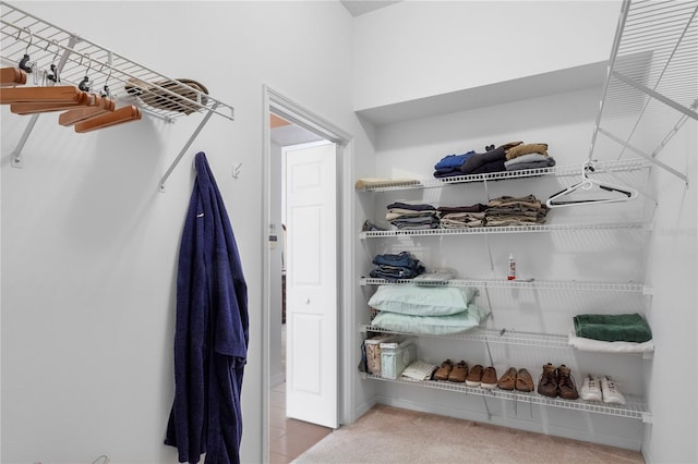 mudroom featuring carpet floors