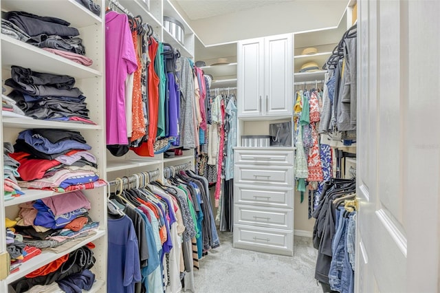 14003 Hampshire Bay Cir, Winter Garden, FL 34787 - walk in closet with light colored carpet