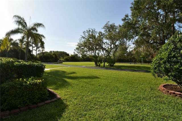surrounding community featuring a yard
