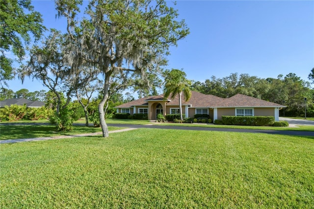 view of front of house with stucco siding and a front yard