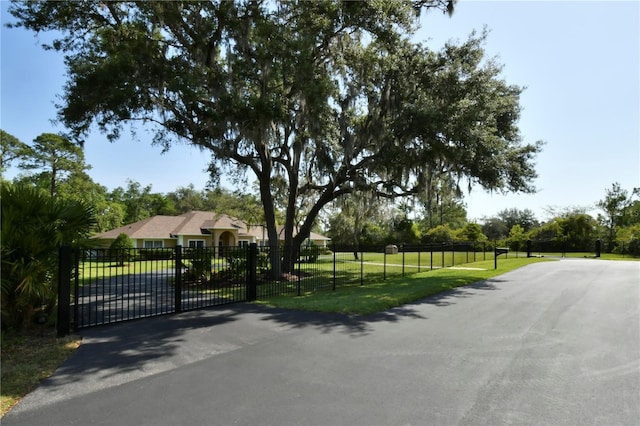 view of road with a gate and a gated entry