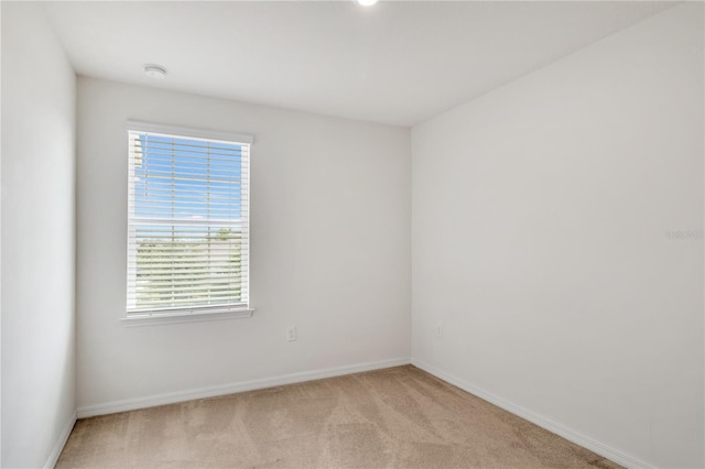 2029 Crystal Bell St, Orlando, FL 32824 - photo 14