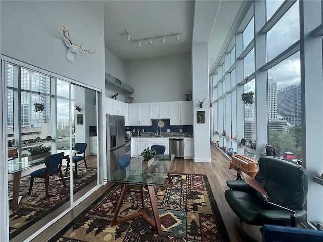 interior space with a high ceiling, track lighting, a healthy amount of sunlight, and light wood finished floors