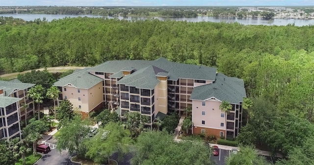 drone / aerial view of a forest and a nearby body of water