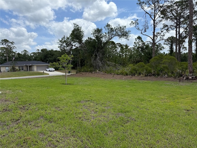 6179 Notre Dame Ter, North Port, FL 34291 - view of grassy yard featuring an attached garage and concrete driveway
