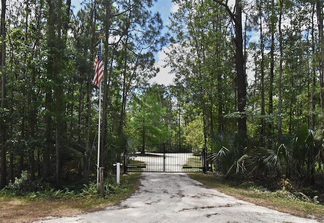 view of street with a gate and a gated entry