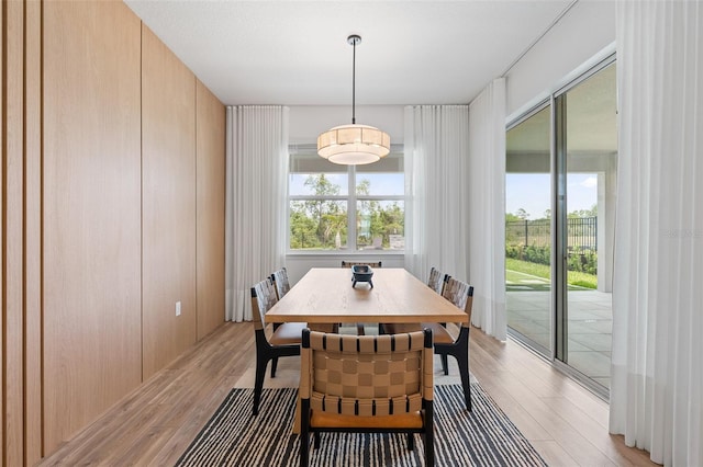 8105 Fenton St, Orlando, FL 32836 - dining room featuring light wood-style flooring