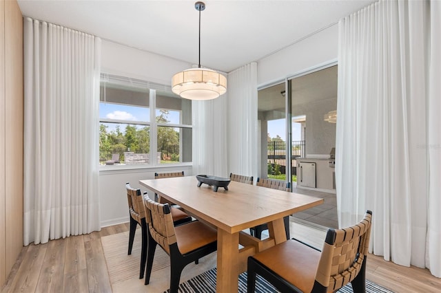8105 Fenton St, Orlando, FL 32836 - dining room featuring light wood-type flooring and healthy amount of natural light