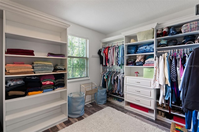 408 Egret Place Dr, Winter Garden, FL 34787 - spacious closet with wood finished floors