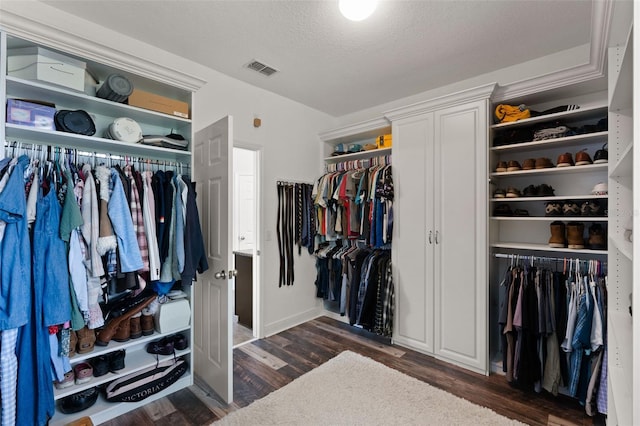 408 Egret Place Dr, Winter Garden, FL 34787 - spacious closet with dark wood finished floors