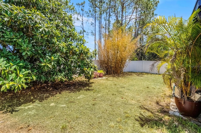 view of yard featuring a fenced backyard
