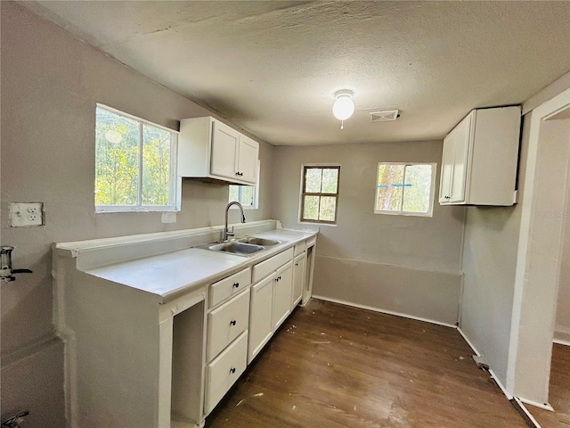 1741 State Road 20, Hawthorne, FL 32640 - photo 5