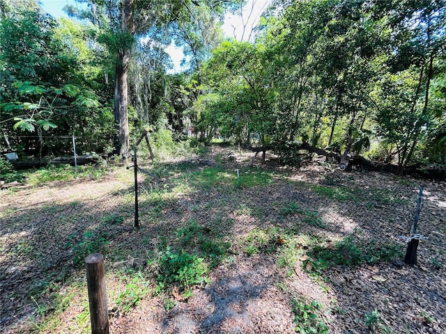 1741 State Road 20, Hawthorne, FL 32640 - photo 9