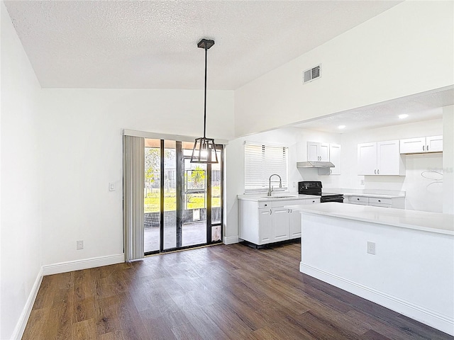 857 E Flag Ln, Kissimmee, FL 34759 - kitchen with black / electric stove, visible vents, a sink, dark wood-type flooring, and light countertops