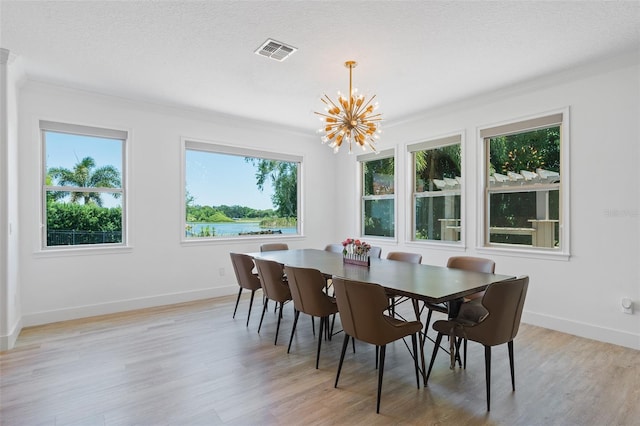 4509 Patricia Ann Ct, Orlando, FL 32839 - photo 24