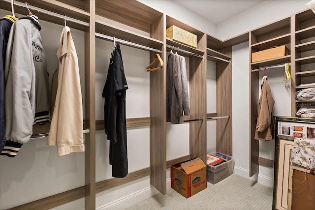 spacious closet with carpet flooring