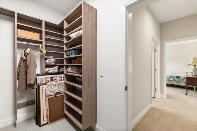 walk in closet with light carpet