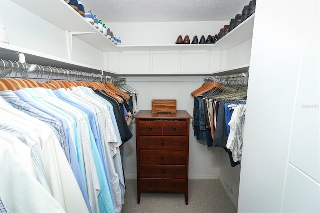 walk in closet with light colored carpet