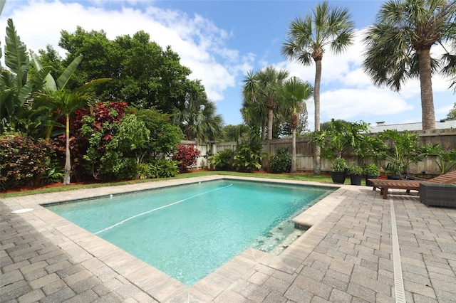 view of swimming pool featuring a fenced in pool, fence private yard, and a patio area