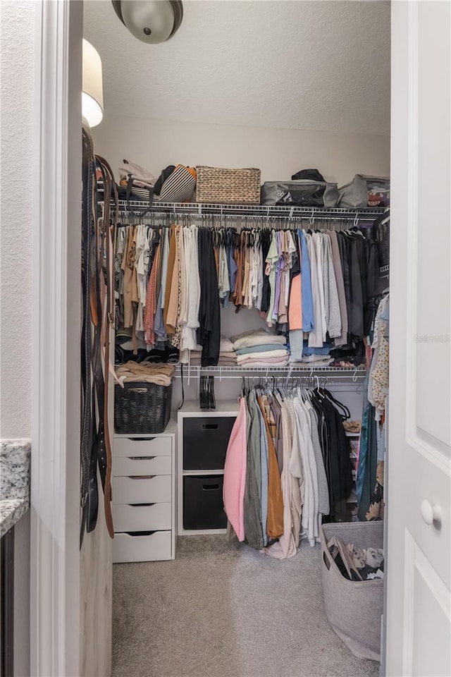 spacious closet featuring carpet