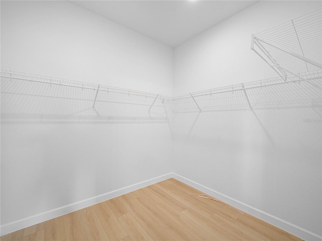 walk in closet featuring light wood-type flooring