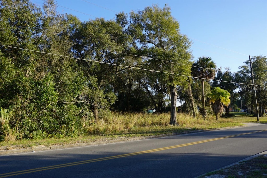 Palmetto St, Eustis, FL 32726