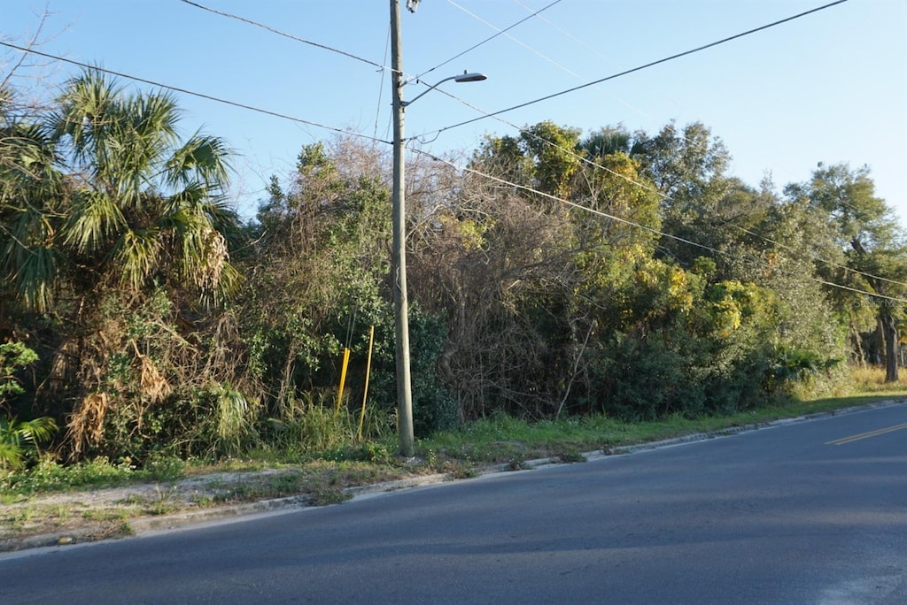 Palmetto St, Eustis, FL 32726