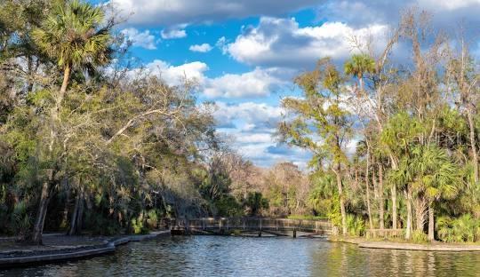 2658 Palmetto Ridge Cir, Apopka, FL 32712 - water view with a heavily wooded area