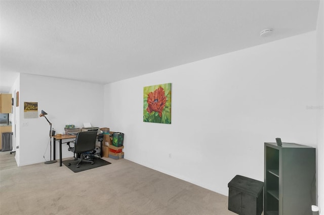 2658 Palmetto Ridge Cir, Apopka, FL 32712 - carpeted office featuring a textured ceiling