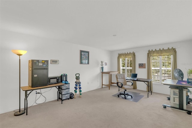 2658 Palmetto Ridge Cir, Apopka, FL 32712 - view of carpeted home office