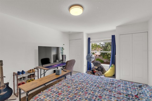 2658 Palmetto Ridge Cir, Apopka, FL 32712 - bedroom featuring multiple closets