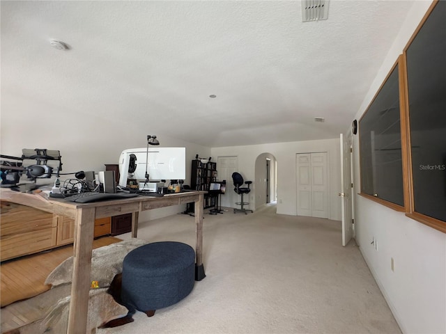 2658 Palmetto Ridge Cir, Apopka, FL 32712 - workout area featuring arched walkways, light carpet, and a textured ceiling