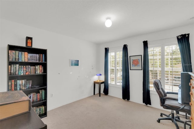 2658 Palmetto Ridge Cir, Apopka, FL 32712 - office space featuring carpet flooring