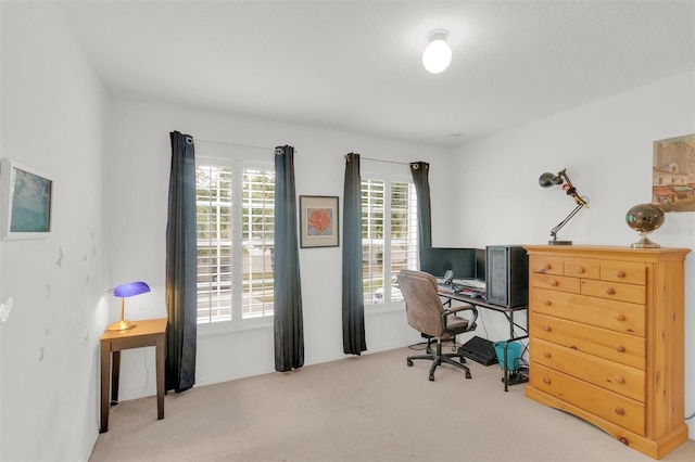 2658 Palmetto Ridge Cir, Apopka, FL 32712 - office space featuring carpet flooring
